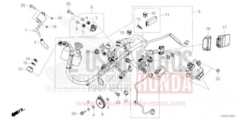 KABELBAUM (CBF125ME) CBF125MER de 2024